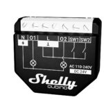 Shelly Wave 2PM